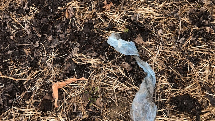 Des morceaux de sacs de plastique sur des restes de paille et de feuilles mortes.