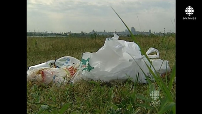 Gros plan sur des déchets dans des sacs de plastique sur un terrain vague.