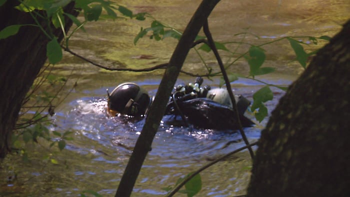 Un plongeur scrute le fond de la rivière Saint-Charles.