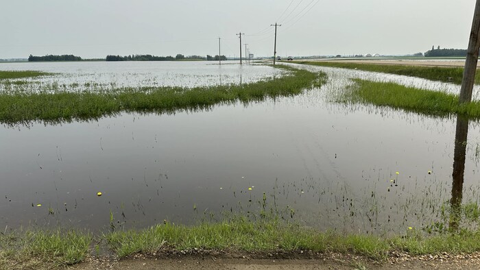 Un champ innondé au nord de l'Alberta sous un ciel gris.