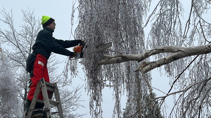 Une homme avec une tronçonneuse coupe les branches d'un arbre.