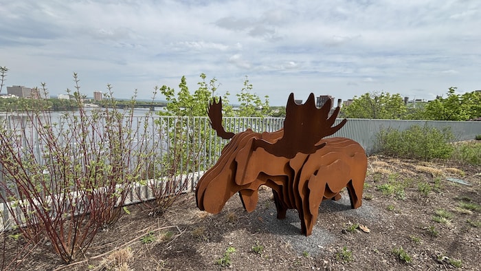 Des sculptures sont installées sur la pointe Kìwekì à Ottawa.