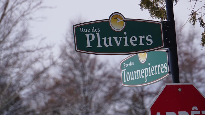 Les rues des Pluviers et des Tournepierres