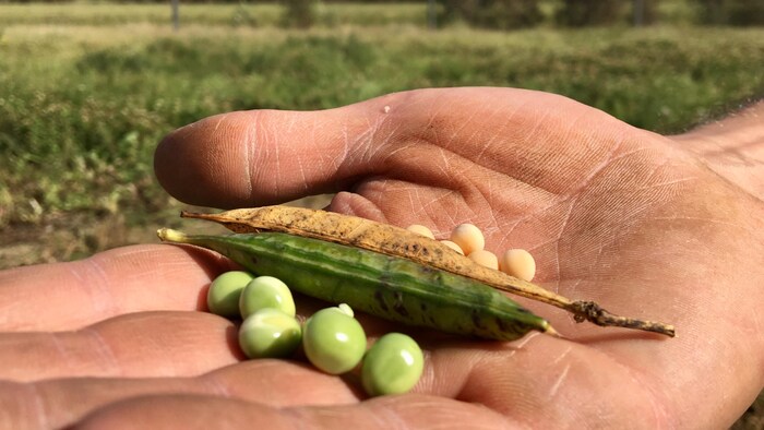 L Impasse Insoutenable D Un Fermier Bio Face La Crise Avec La