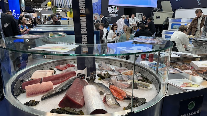 Des poissons dans un présentoir au Salon international de poissons et fruits de mer de Barcelone. 