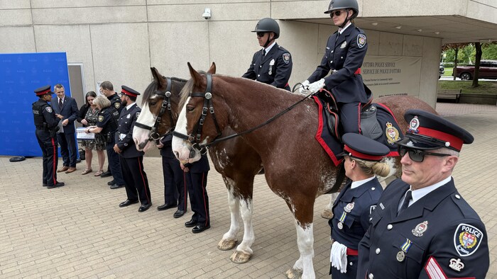 Des agents de police d'Ottawa en ligne. Deux d'entre eux sont sur des chevaux.
