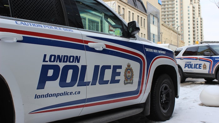 Officer Fatally Shoots Man During Struggle, Inquest Hears — image 6