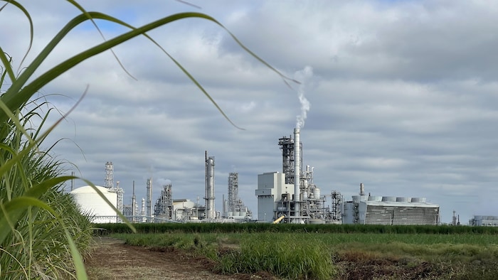 Une usine pétrochimique en Louisiane.