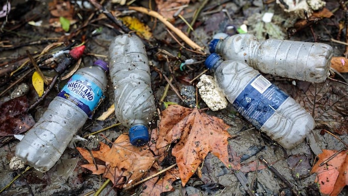 Des bouteilles de plastique vides traînant sur le sol mouillé.