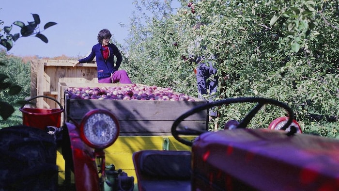 Une femme, juchée sur la charrette d'un tracteur, discute avec un homme qui cueille des pommes dans un verger.