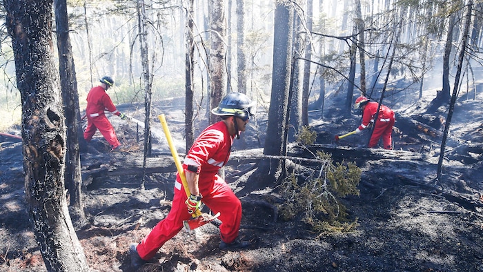Les trois pompiers portent un uniforme orangé et travaillent avec des haches.