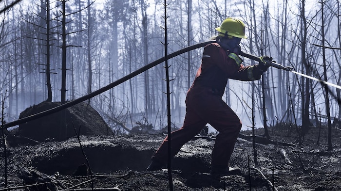 Une pompière de profil tenant un boyau sur son épaule droite arrose dans une zone de forêt calcinée par le feu.