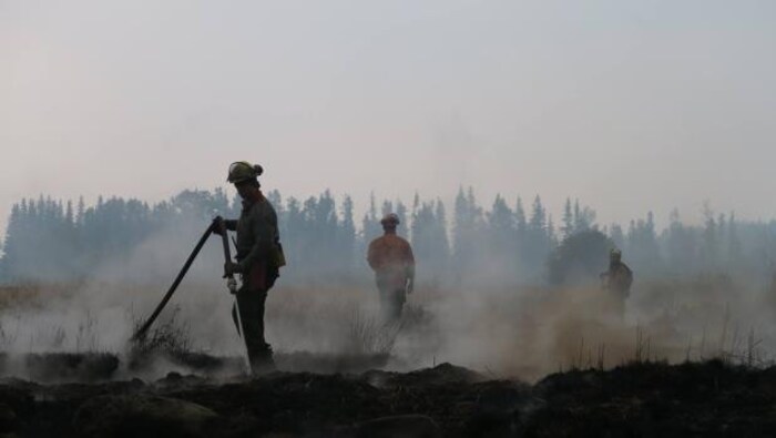 Des pompiers sur les lieux d'un feu de forêt éteint où la fumée s'échappe encore des décombres.