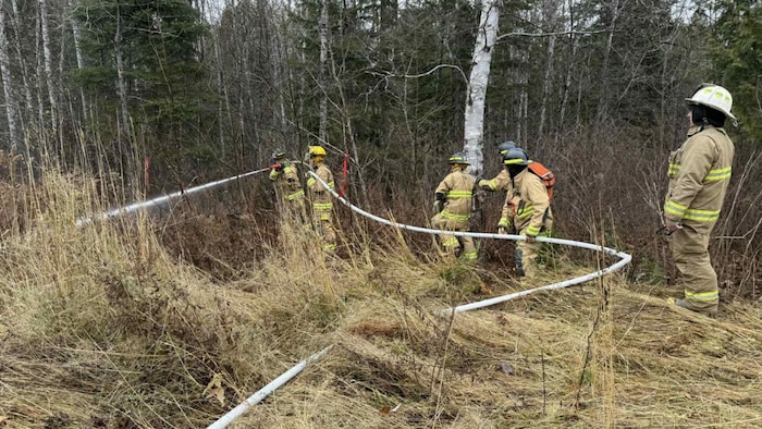 Des pompiers avec une lance dans la forêt. 