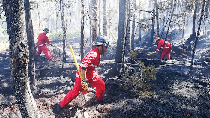 Incendies: qu'est ce que la technique du contre-feu tactique, utilisée par  les pompiers ?