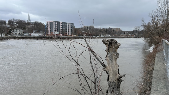 La rivière Saint-François près du pont Aylmer par une journée grise.