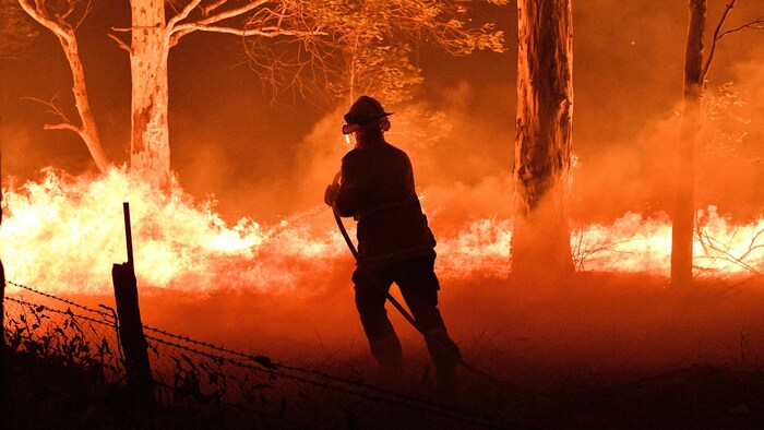 Un pompier arrose des arbres dans une forêt en feu.
