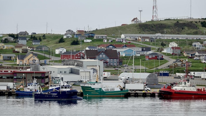 Des bateaux au port de Cap-aux-Meules, avec des maisons et la butte Marconi à l'arrière.