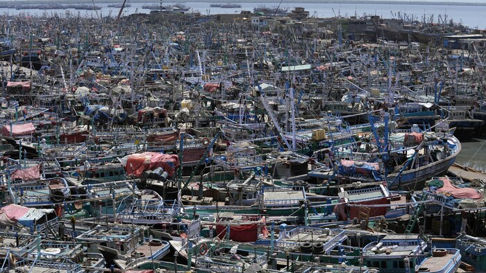 Le port de Karachi rempli de bateaux serrés comme des sardines.