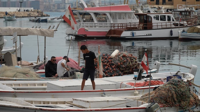 General view of the fishing port of Tyr.