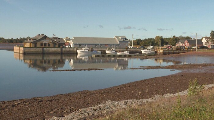 Une vue du petit port de Victoria.