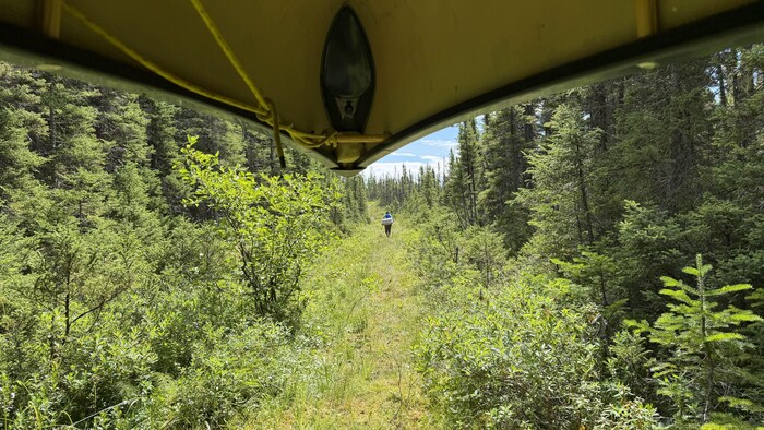 Un canot au dessus d'un sentier de portage.