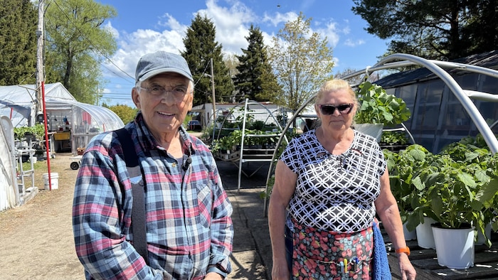 Un homme en chemise à carreaux et une femme en haut à motifs posent côte à côte à l'extérieur. Ils se trouvent dans une pépinière ou un jardin maraîcher, entourés de serres et de nombreux plants en pots sous un ciel bleu.