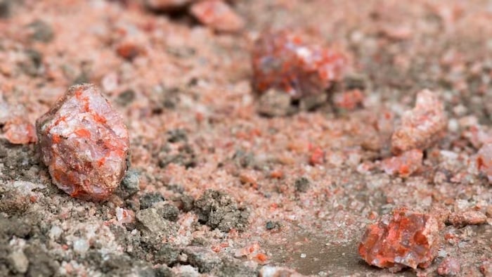 Des morceaux de potasse reposent à la mine de potasse Mosaic à Esterhazy, en Saskatchewan. (Liam Richards/CP)