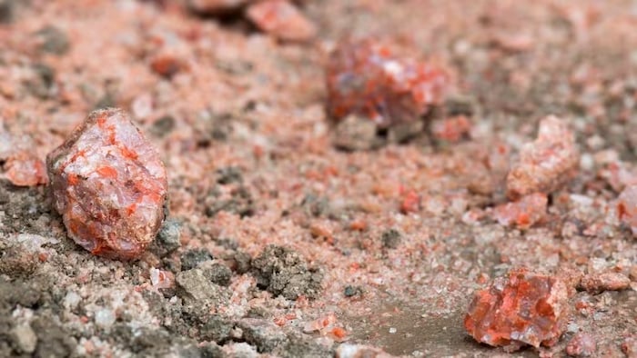 Des morceaux de potasse reposent dans un tas de surplus à la mine de potasse Mosaic à Esterhazy, en Saskatchewan. (Liam Richards/CP)
