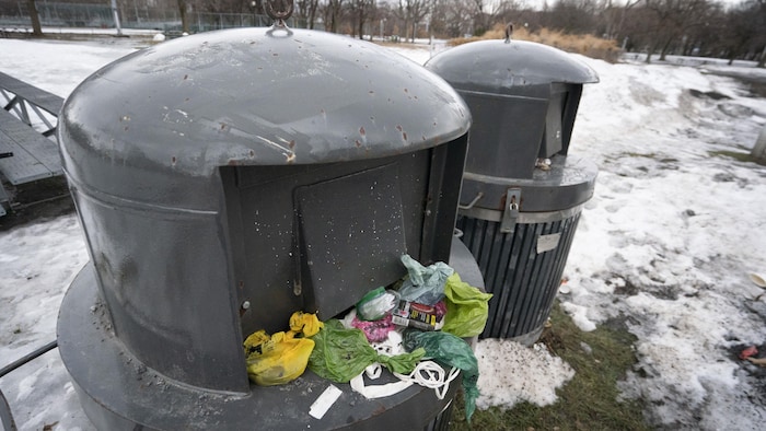 Des poubelles publiques dans un parc au printemps.