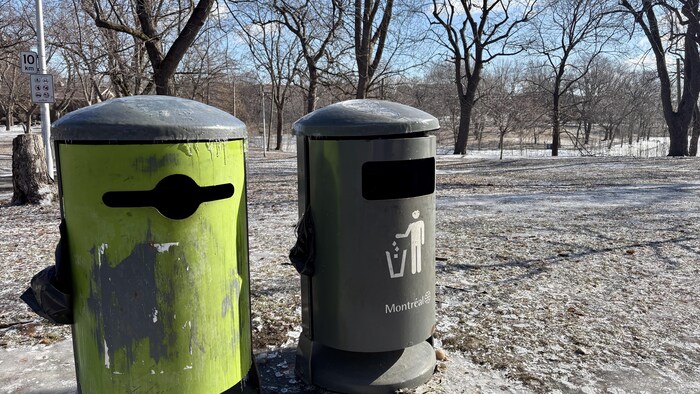 Des poubelles au parc La Fontaine.