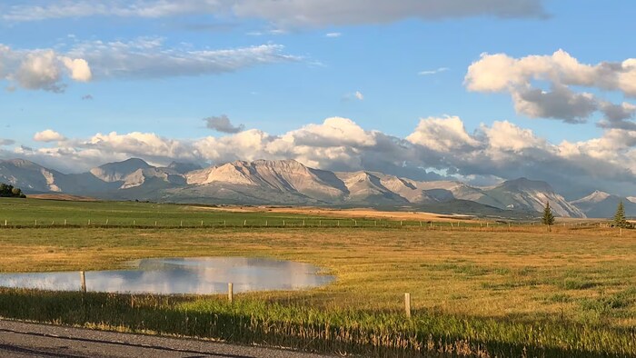 Un paysage de Prairies, en bordure de route, avec des montagnes en arrière-plan, près de Waterton, en Alberta. 