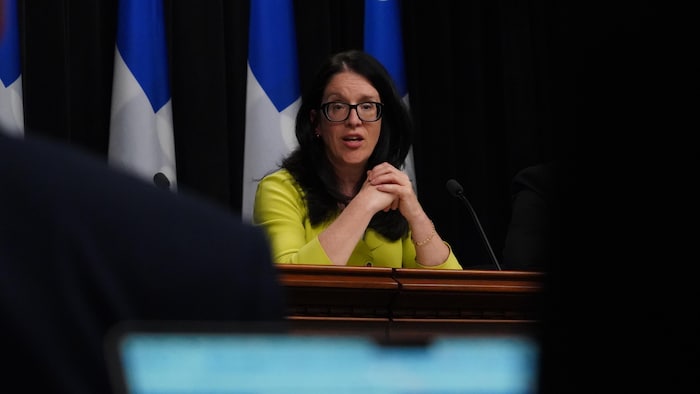 Sonia LeBel en conférence de presse.
