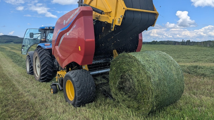 Une balle de foin est extraite de la presse pour être laissée dans le champ.