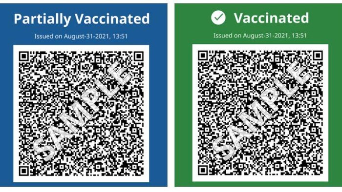 Under the terms of B.C. health orders, anyone who wanted access to a range of non-essential indoor services had to show proof of vaccination. A group is now seeking to certify a class action lawsuit against the province in relation to those measures.