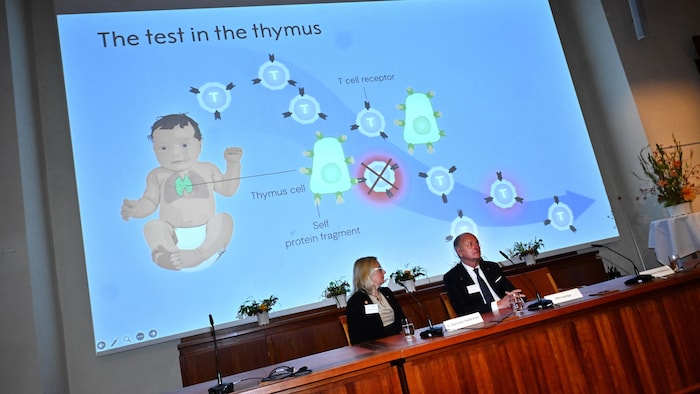 Deux personnes sont assises devant un diagramme montrant le mécanisme des cellules T régulatrices.