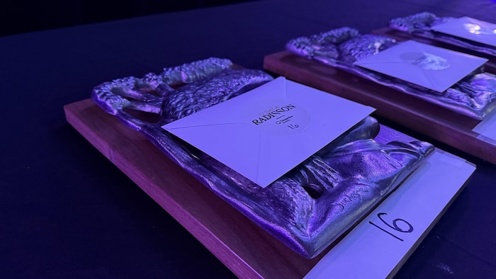 Des plaquettes sont déposées sur une table.