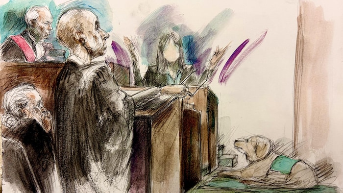 Illustration judiciaire de la plaignante no 5 avec son chien guide à ses côtés.