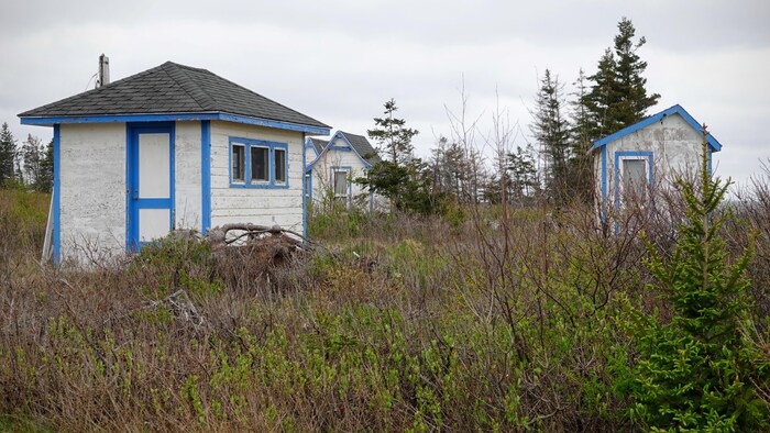 Trois cabanes sur un terrain de campagne.