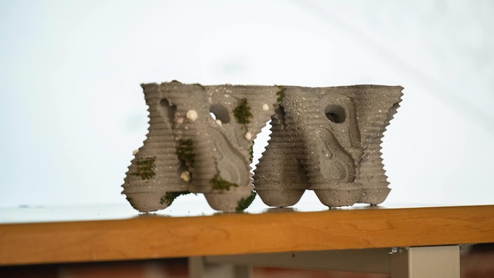 Un prototype du projet Tecora.