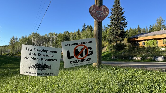 Des pancartes qui portent des messages d'opposition au projet de gazoduc sont plantées dans le gazon.
