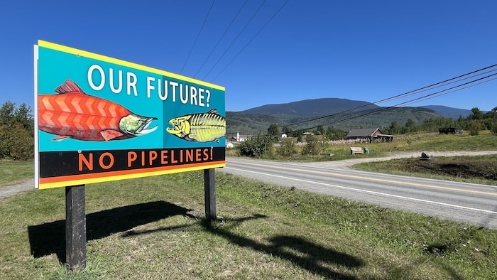 Un panneau porte le dessin d'un saumon en bonne santé et d'un autre saumon malade ainsi que la mention « pas de pipeline » en dessous.
