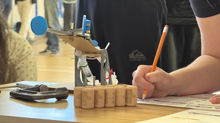 Une fabrication en carton et un crayon.