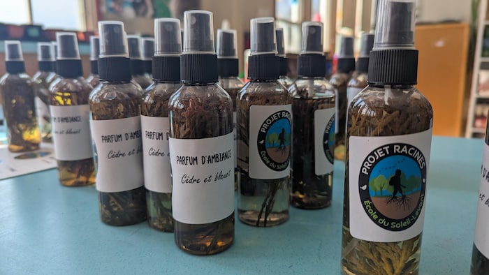 Les produits en petite bouteille sont étalés sur une table.