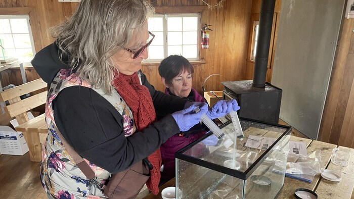 Deux femmes avec des seringues en plastique filtrent de l'eau.