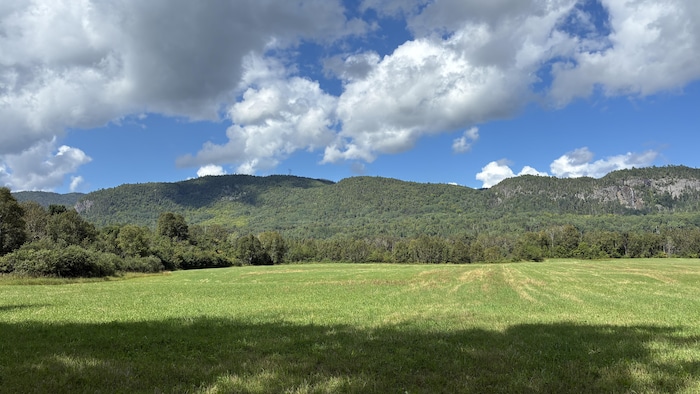 Un projet touristique verra le jour sur ces terres. 