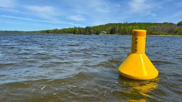 Une bouée au dessus de l'eau.