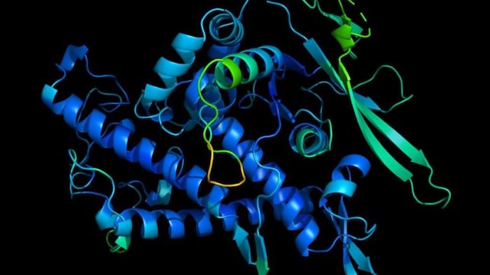 Illustration d'une protéine.