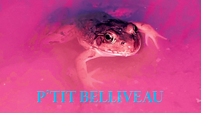 On voit une grenouille sur la pochette de l'album de P'tit Belliveau.