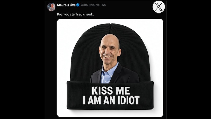 Montage photo d'une photo de Steven Blaney souriant posé sur une tuque. Les mots "Kiis me I am an idiot" sont inscrits sur le rebord de la tuque.